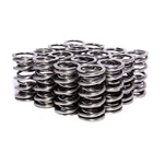 Comp Cams Valve Spring Set 26925-16; Race/street Dual, 141 Lbs At 1.810 In.. Fixed Price $274.95.