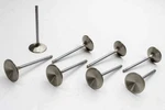 Manley Valves Stnls Exh Set. Fixed Price $214.36.