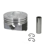 Cast Piston Sealed Power H699DCP30. Fixed Price $55.38.