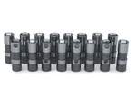 Chevrolet Performance LS1 Hyd. Roller Lifter Set- 88958689. Fixed Price $629.69.