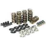 Promaxx Performance 8401 Gm Ls Series Gold Dual Valve Spring Kit Includes:. Fixed Price $388.00.