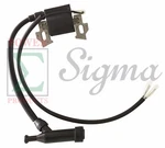 Ignition Coil For Champion 208CC 224CC 3500/4375 3550/4450W 3650/4500W Generator. Fixed Price $16.50.