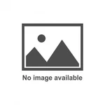 Joes Racing Products Chain Guide Wheel Black Nylon Mini Sprint 25876-B. Fixed Price $77.46.