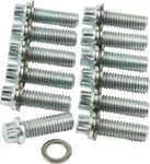 Allstar Performance 87010 Intake Bolt Kit Sbc 12PT. Fixed Price $18.99.