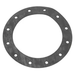 Jaz 850-301-01 12-HOLE Flange Gasket. Fixed Price $18.63.