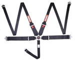 Racequip Camlock 5 Point Hans Auto Racing Harness Set Pull-down Lap Sfi 16.1. Fixed Price $229.95.