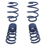 Ford Lowering Spring Kit Mustang GT350 15-18 M-5300-W. Fixed Price $380.81.