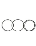 New! Compare $349 Total Seal T3690-45 Gapless TS1 Race Piston Ring Set. Fixed Price $297.79.