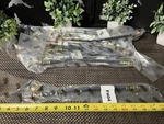 220 Qty! Huge Lot- FH04 Right Stuff Brake Hose And Fittings New. Fixed Price $1100.00.