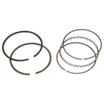 Total Seal CR3690-20 Classic Race Rings, 4.000 Bore, Over. Fixed Price $185.45.