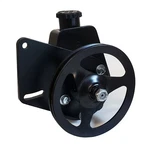 Borgeson 800338 Power Steering Pump Kit. Fixed Price $291.48.