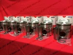 Cummins 5.9L Pistons 2004.5-08 Mahle +.020 17:1 H/o Matched & Balanced SET/6. Fixed Price $550.00.