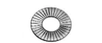 Manley 03253-50 Valve Spring Shims. Fixed Price $33.25.