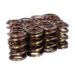 SKUNK2 Pro Xp Dual Valve Spring Set For Honda/acura B-series Vtec. Fixed Price $375.99.