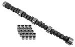 Comp Cam&lifters Hydraulic Flat Tappet Adv Dur 252/252 .460/.460 Chevy Bb. Fixed Price $342.95.