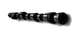 Engine Camshaft Comp 88-119-6. Fixed Price $546.29.