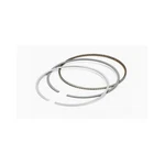 Total Seal CS9924030 Piston Rings 4.030 Plus 5 .9 2.0 8CYL. Fixed Price $426.91.