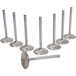 Manley 11620-8 Race Master Flo Intake Valves. Fixed Price $202.55.