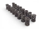 Big Block Chevy Valve Springs For Use With 572 720 Hp Engines Oem Gm 19172596. Fixed Price $94.00.