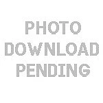 08-14 Dodge Challenger Circuit Duraflex Rear Bumper Diffuser Body Kit 113981. Fixed Price $244.00.