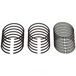 Engine Piston Ring Set Sealed Power E-925K 30. Fixed Price $100.95.