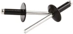 Allstar Performance ALL18170 3/16'' Large Head Rivets. Fixed Price $17.69.