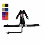 Rjs Racing Sfi 16.1 5PT Latch & Link Pull Up Harness Roll Bar Mount Any Color. Fixed Price $117.99.