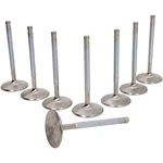Manley 11686-8 Severe Duty Pro Flo Intake Valves. Fixed Price $301.07.