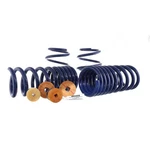 Ford Performance Mustang Lowering Springs. Fixed Price $319.99.