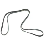 Genuine Ford Focus 2005-2007 6-RIB Serpentine Poly V-belt 6PK2219 4S4Z-8620-CB. Fixed Price $38.87.