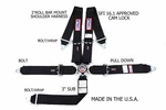 Rjs Sfi 16.1 Cam Lock 5 Pt Harness Roll Bar Mount Bolt In Black & All Hw. Fixed Price $168.99.
