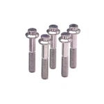 Arp 642-1500 Standard 12POINT Bolt 5PC Black Oxide 3/8-16 1.5 Wrenching. Fixed Price $20.34.
