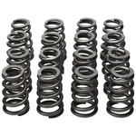 Manley 26185 Engine Valve Spring Kit. Fixed Price $532.99.