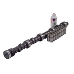 Melling Performance CL-MTP-1 Rv Torque Camshaft Lifter Kit. Fixed Price $372.12.