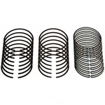 Moly Piston Rings Sealed Power E979K. Fixed Price $123.39.
