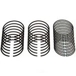 Moly Piston Rings Sealed Power E937K.75MM. Fixed Price $177.83.