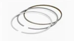 Total Seal Ap Steel Street And Race Piston Ring Sets. Fixed Price $340.95.