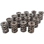 Manley 221447-16 Nextek Drag Race Valve Springs. Fixed Price $647.48.