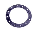 Jaz Products 850-301-01 Fuel Cell Flange Gasket Round 12-BOLT. Fixed Price $12.43.