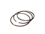 Total M9190 130 Maxseal Piston Rings. Fixed Price $489.68.
