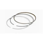 Total Seal CS9924030 Piston Rings 4.030 Plus 5 .9 2.0 8CYL. Fixed Price $426.91.
